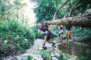 BIB: 
                            <button type="button" onclick="openModal(25432424)" class="btn btn-primary btn-sm float-right btn-popup" data-toggle="modal" data-target=".modal-high-quality">
                        <i class="fas fa-shopping-cart"></i> Add to Cart
                    </button>
                                            <button type="button" onclick="isThisMe(25432424, true)" class="btn btn-success btn-sm float-right btn-popup btn-isme hidden" data-toggle="tooltip" data-placement="bottom" title="นี่คือรูปของคุณใช่ไหม คลิกที่นี่เพื่อเอาเข้าอัลบั้ม">
                        <i class="fas fa-plus"></i> Add to album
                    </button>
                    <button type="button" onclick="isThisMe(25432424, false)" class="btn btn-warning btn-sm float-right btn-popup btn-isnotme hidden">
                        <i class="fas fa-ban"></i> Remove from album
                    </button>